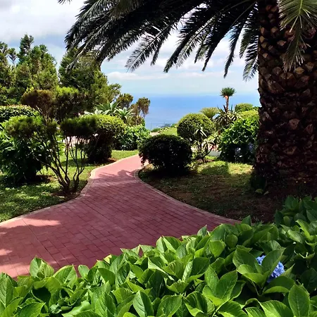 Cedros * סנטה קרוז דאס פלורס